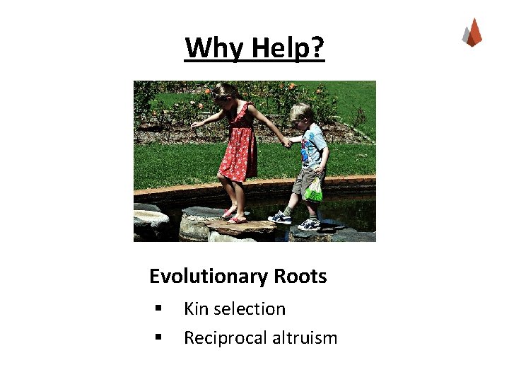 Why Help? Evolutionary Roots § § Kin selection Reciprocal altruism 