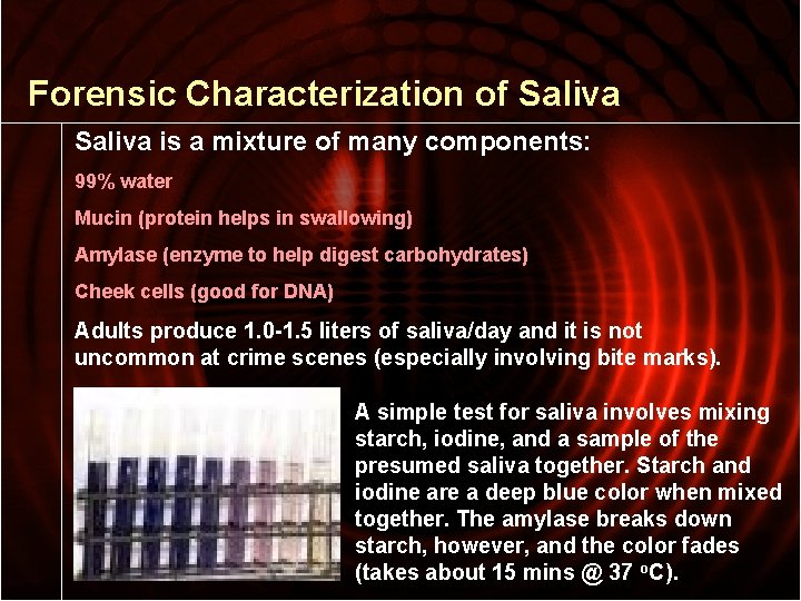Forensic Characterization of Saliva is a mixture of many components: 99% water Mucin (protein