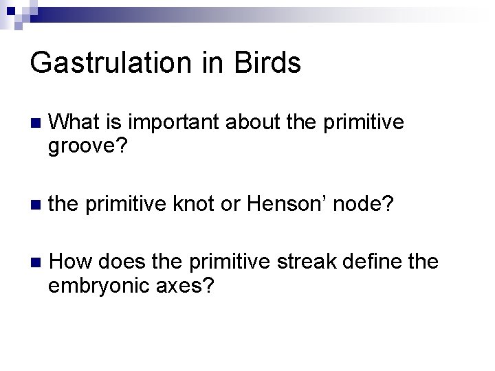 Gastrulation in Birds n What is important about the primitive groove? n the primitive Gastrulation in Birds n What is important about the primitive groove? n the primitive