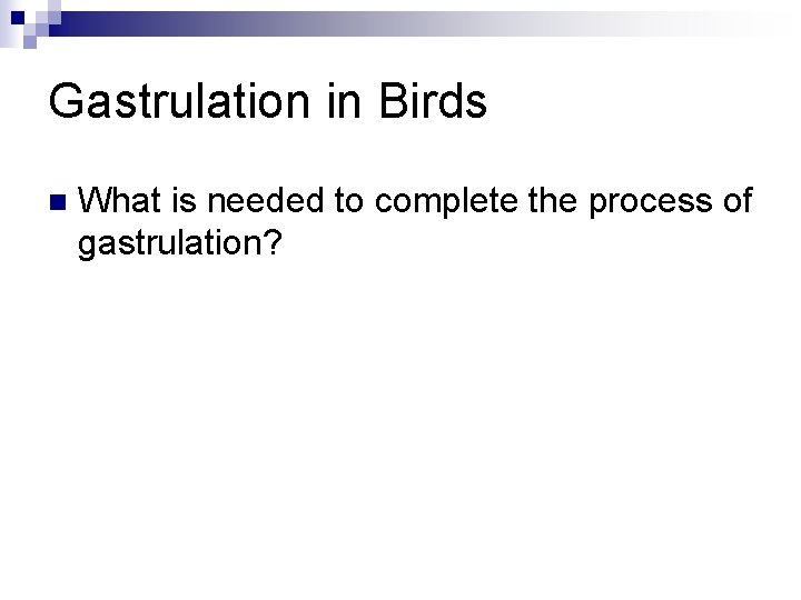 Gastrulation in Birds n What is needed to complete the process of gastrulation? 