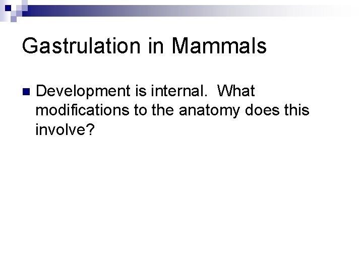 Gastrulation in Mammals n Development is internal. What modifications to the anatomy does this
