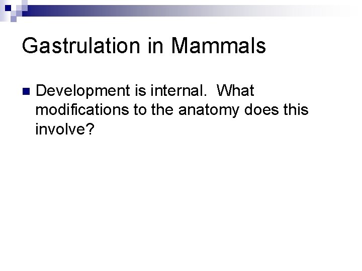 Gastrulation in Mammals n Development is internal. What modifications to the anatomy does this Gastrulation in Mammals n Development is internal. What modifications to the anatomy does this