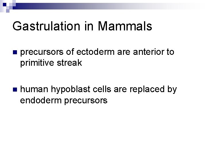 Gastrulation in Mammals n precursors of ectoderm are anterior to primitive streak n human Gastrulation in Mammals n precursors of ectoderm are anterior to primitive streak n human