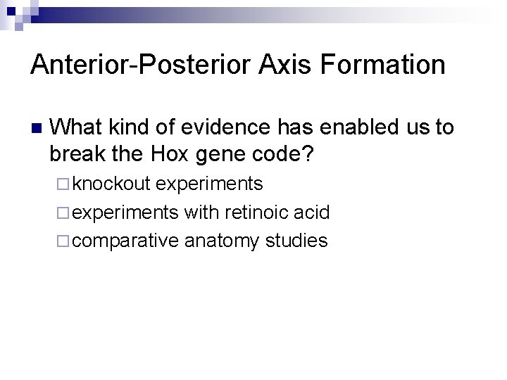 Anterior-Posterior Axis Formation n What kind of evidence has enabled us to break the Anterior-Posterior Axis Formation n What kind of evidence has enabled us to break the