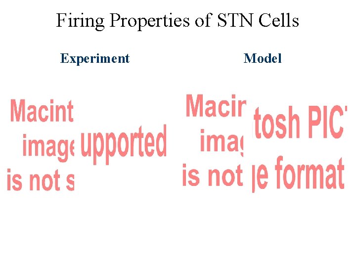 Firing Properties of STN Cells Experiment Model 