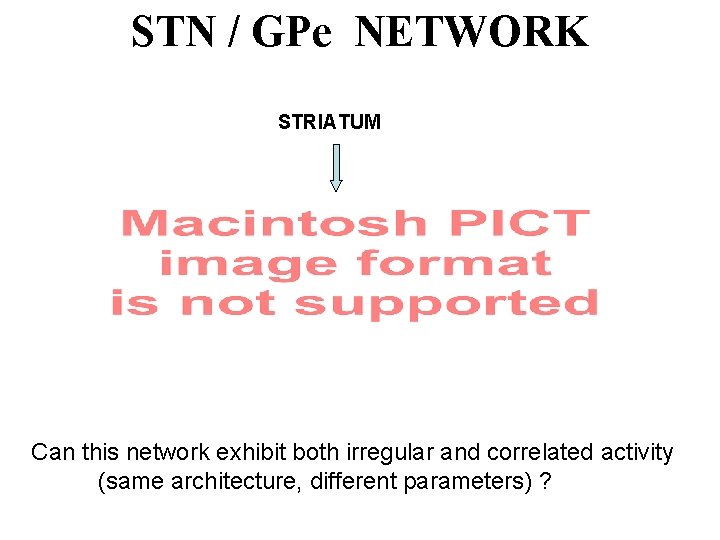 STN / GPe NETWORK STRIATUM Can this network exhibit both irregular and correlated activity