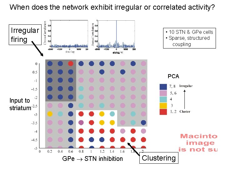 When does the network exhibit irregular or correlated activity? Irregular firing • 10 STN
