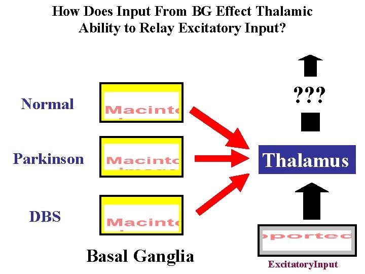 How Does Input From BG Effect Thalamic Ability to Relay Excitatory Input? Normal ?