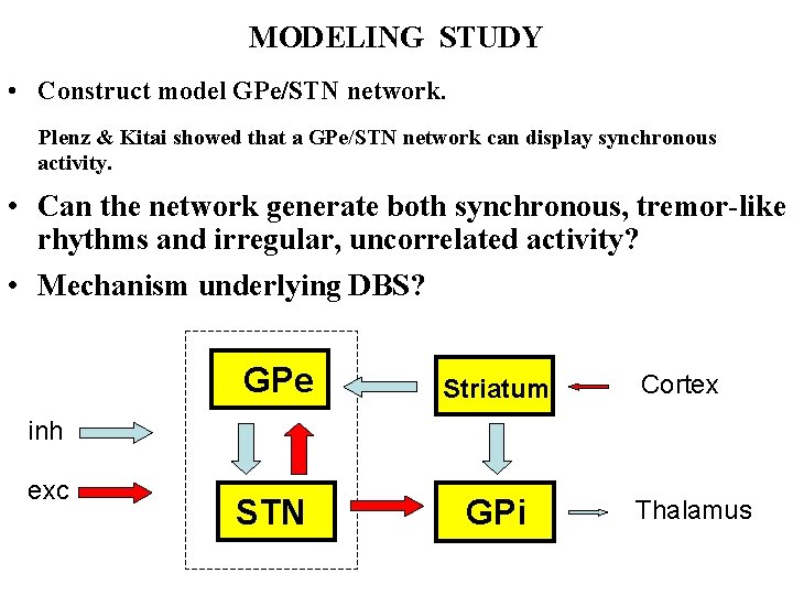 MODELING STUDY • Construct model GPe/STN network. Plenz & Kitai showed that a GPe/STN
