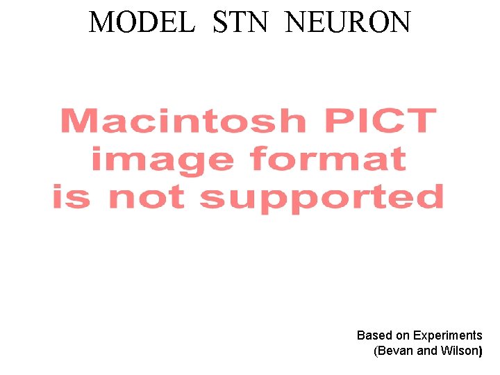 MODEL STN NEURON Based on Experiments (Bevan and Wilson) 