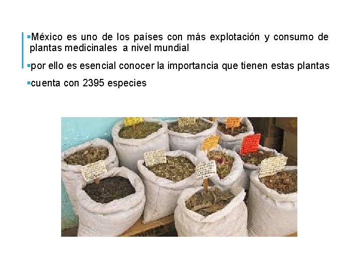 §México es uno de los países con más explotación y consumo de plantas medicinales