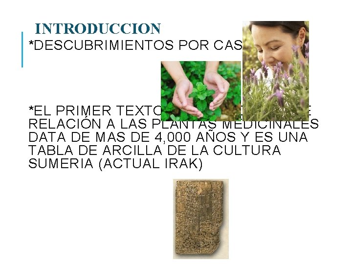 INTRODUCCION *DESCUBRIMIENTOS POR CASUALIDAD *EL PRIMER TEXTO ESCRITO QUE HACE RELACIÓN A LAS PLANTAS