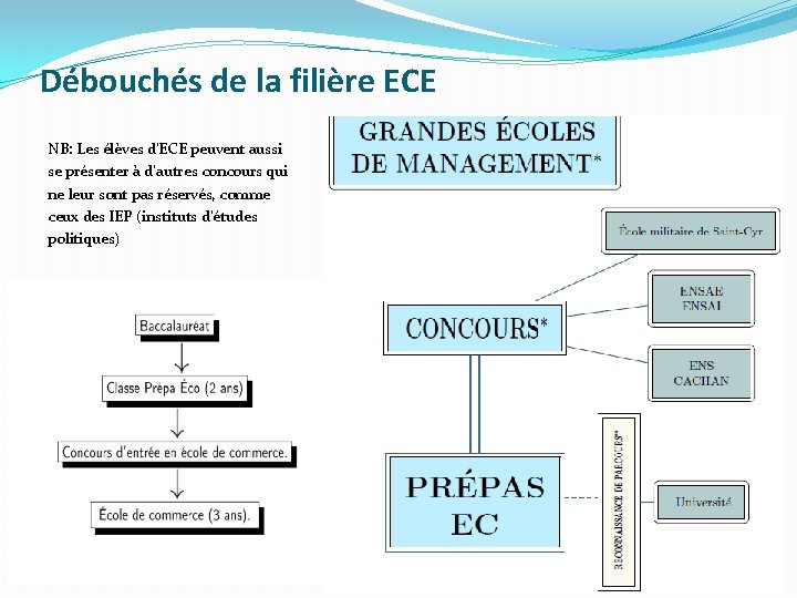 Débouchés de la filière ECE NB: Les élèves d'ECE peuvent aussi se présenter à