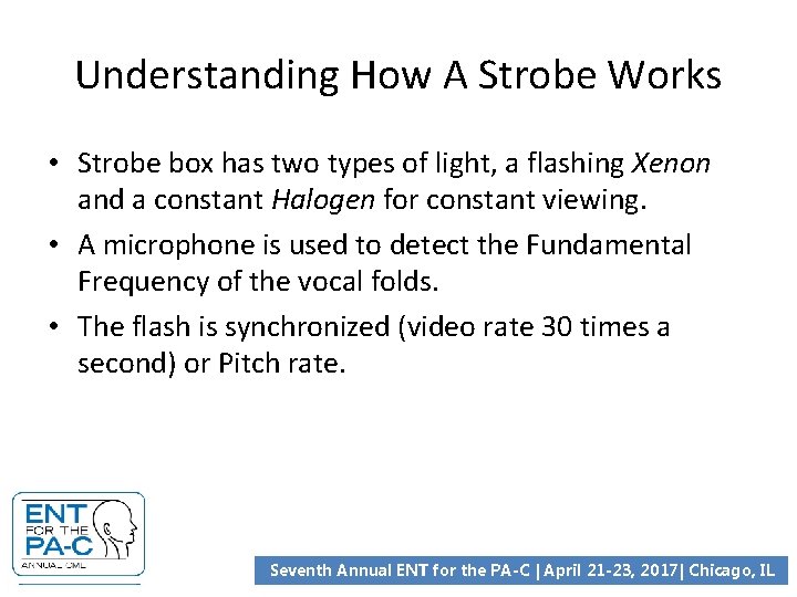 Understanding How A Strobe Works • Strobe box has two types of light, a