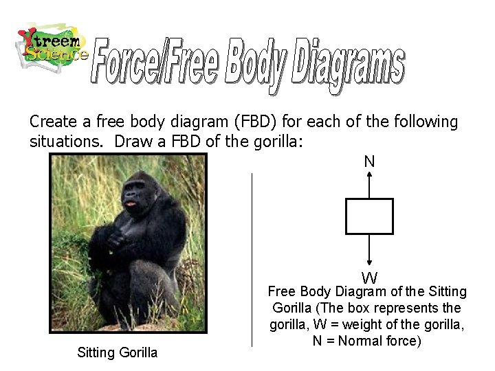 Create a free body diagram (FBD) for each of the following situations. Draw a