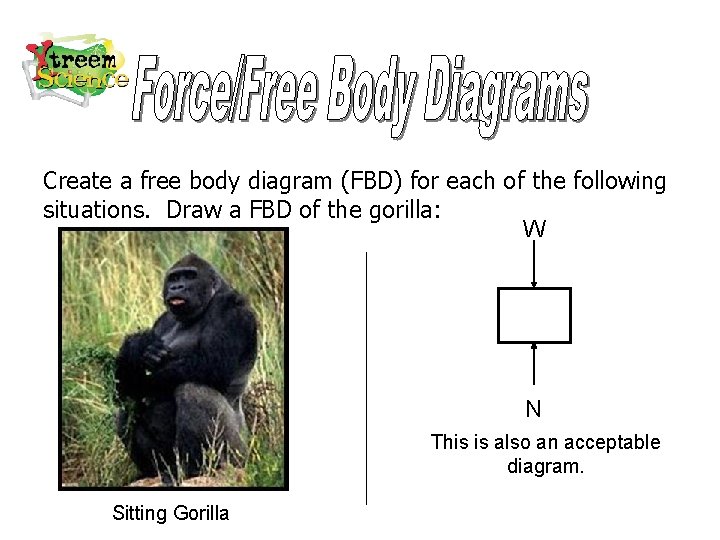 Create a free body diagram (FBD) for each of the following situations. Draw a