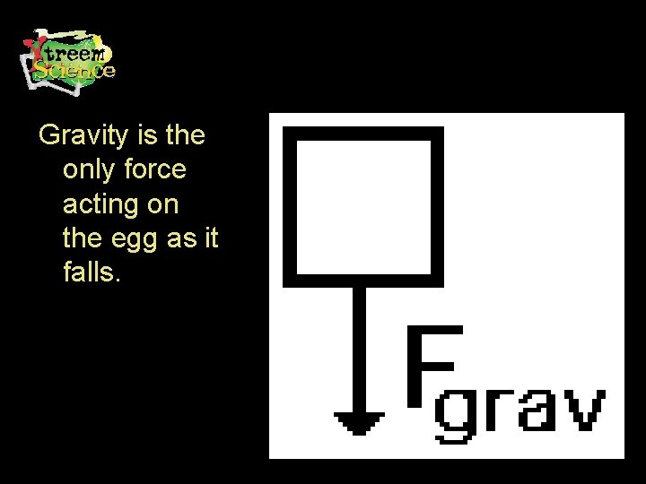 Gravity is the only force acting on the egg as it falls. 