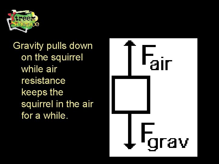 Gravity pulls down on the squirrel while air resistance keeps the squirrel in the