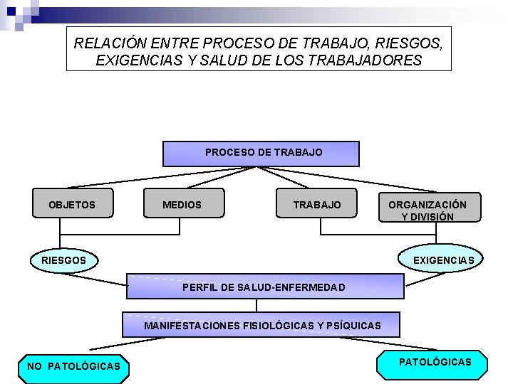 RELACIÓN ENTRE PROCESO DE TRABAJO, RIESGOS, EXIGENCIAS Y SALUD DE LOS TRABAJADORES PROCESO DE