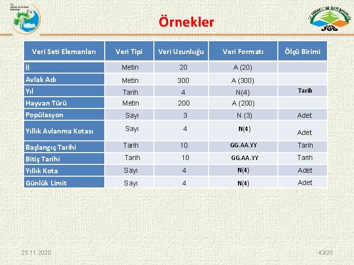 Örnekler Veri Seti Elemanları Veri Tipi Veri Uzunluğu Veri Formatı Ölçü Birimi İl Metin