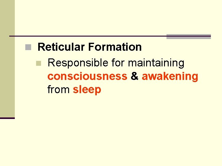 n Reticular Formation n Responsible for maintaining consciousness & awakening from sleep 