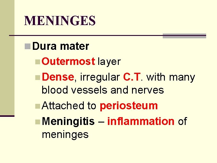 MENINGES n Dura mater n Outermost layer n Dense, irregular C. T. with many