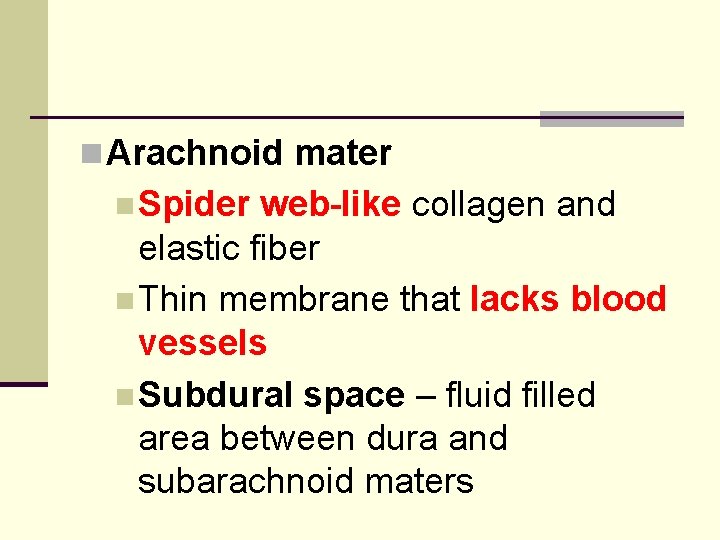 n Arachnoid mater n Spider web-like collagen and elastic fiber n Thin membrane that