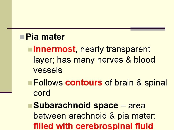 n Pia mater n Innermost, nearly transparent layer; has many nerves & blood vessels