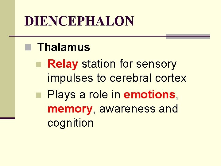 DIENCEPHALON n Thalamus n n Relay station for sensory impulses to cerebral cortex Plays