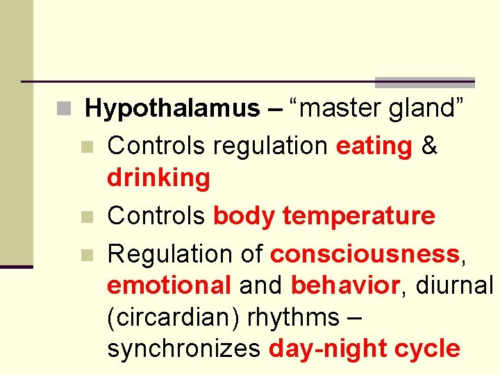 n Hypothalamus – “master gland” n n n Controls regulation eating & drinking Controls