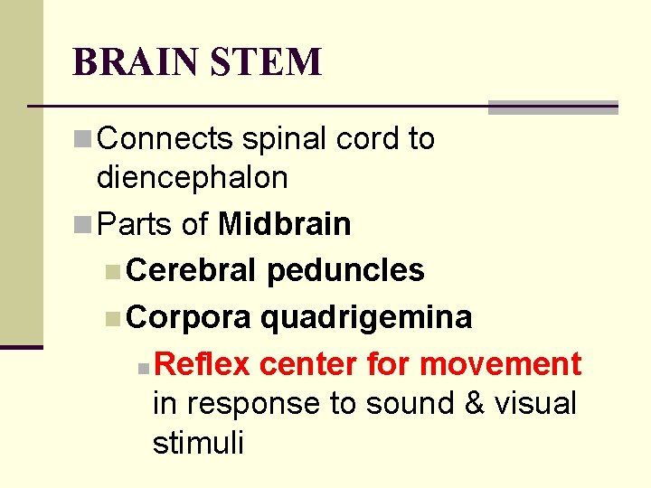 BRAIN STEM n Connects spinal cord to diencephalon n Parts of Midbrain n Cerebral