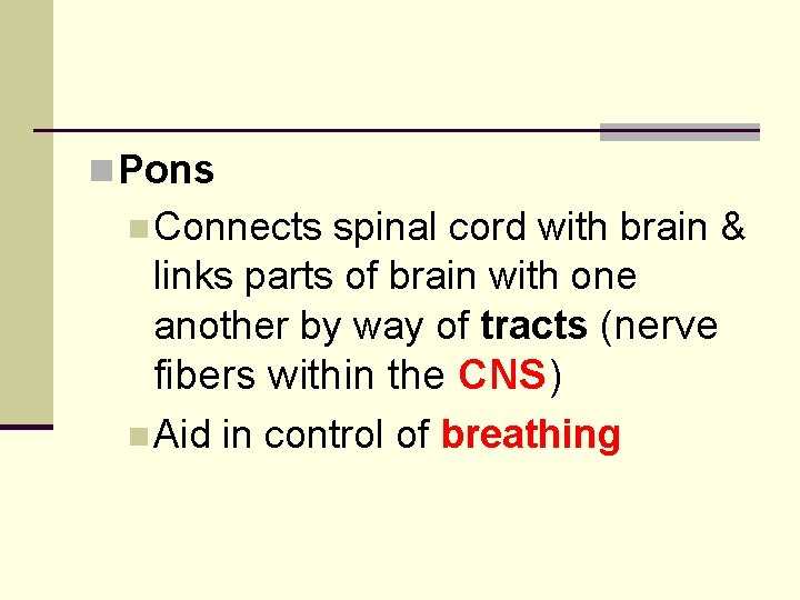 n Pons n Connects spinal cord with brain & links parts of brain with