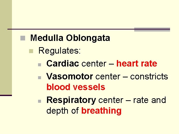 n Medulla Oblongata n Regulates: n Cardiac center – heart rate n Vasomotor center
