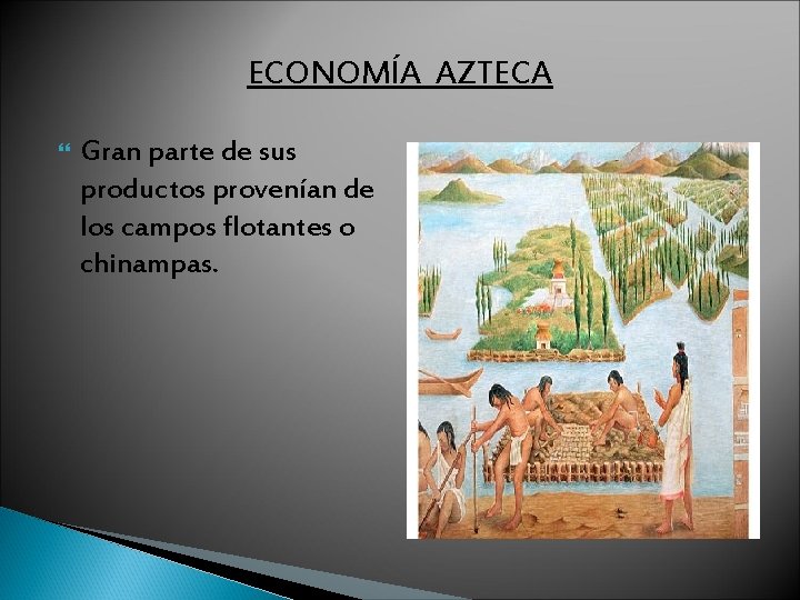ECONOMÍA AZTECA Gran parte de sus productos provenían de los campos flotantes o chinampas.