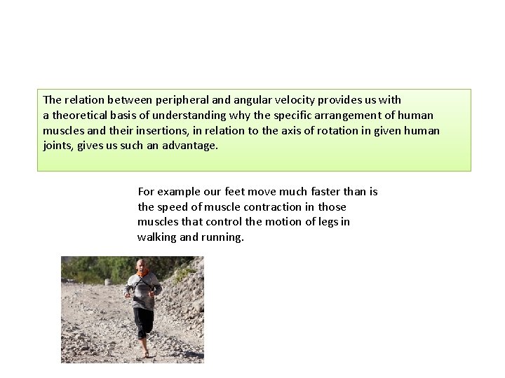 The relation between peripheral and angular velocity provides us with a theoretical basis of The relation between peripheral and angular velocity provides us with a theoretical basis of
