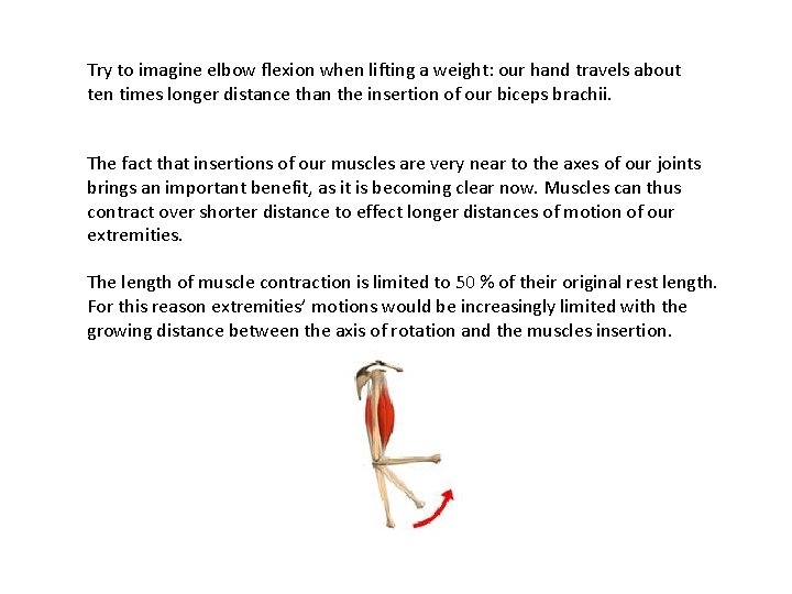 Try to imagine elbow flexion when lifting a weight: our hand travels about ten