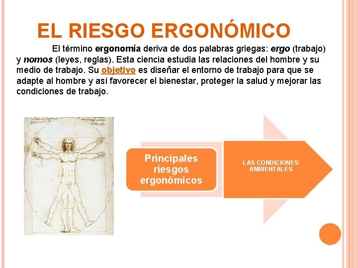 EL RIESGO ERGONÓMICO El término ergonomía deriva de dos palabras griegas: ergo (trabajo) y