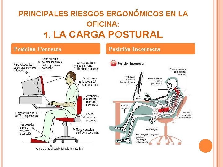 PRINCIPALES RIESGOS ERGONÓMICOS EN LA OFICINA: 1. LA CARGA POSTURAL Posición Correcta Posición Incorrecta