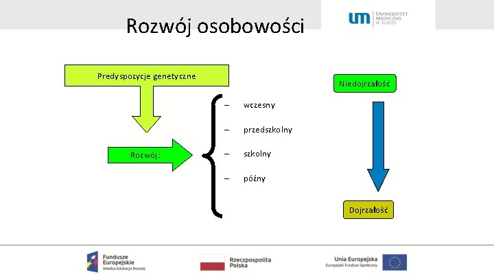 Rozwój osobowości Predyspozycje genetyczne Rozwój: Niedojrzałość – wczesny – przedszkolny – późny Dojrzałość 