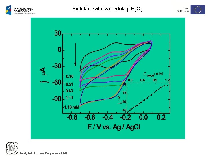 Biolektrokataliza redukcji H 2 O 2 Instytut Chemii Fizycznej PAN 