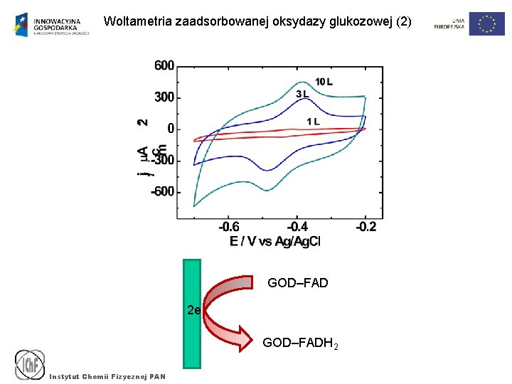 Woltametria zaadsorbowanej oksydazy glukozowej (2) GOD–FAD 2 e GOD–FADH 2 Instytut Chemii Fizycznej PAN