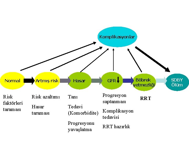 Komplikasyonlar Normal Risk faktörleri taraması Artmış risk Hasar GFR Progresyon saptanması Böbrek yetmezliği Risk