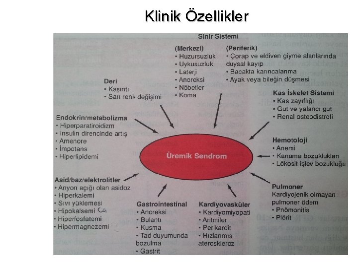 Klinik Özellikler 