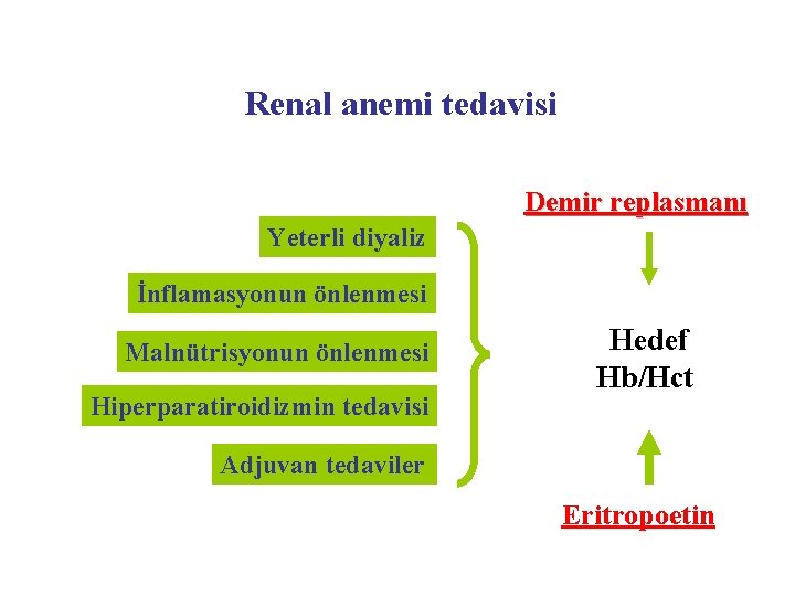 Renal anemi tedavisi Demir replasmanı Yeterli diyaliz İnflamasyonun önlenmesi Malnütrisyonun önlenmesi Hiperparatiroidizmin tedavisi Hedef