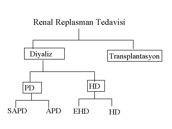 Renal Replasman Tedavisi Diyaliz Transplantasyon HD PD SAPD EHD HD 