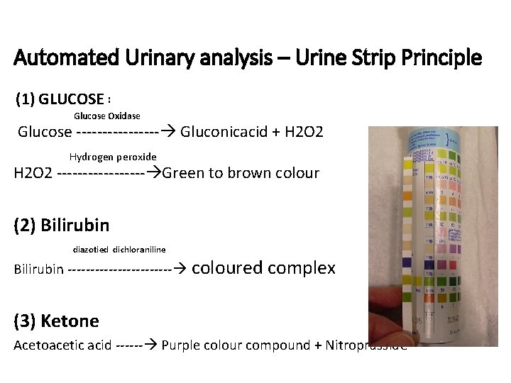 Automated Urinary analysis – Urine Strip Principle (1) GLUCOSE : Glucose Oxidase Glucose ‐‐‐‐‐‐‐‐