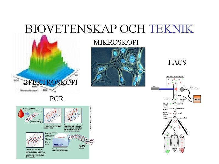 BIOVETENSKAP OCH TEKNIK MIKROSKOPI FACS SPEKTROSKOPI PCR 