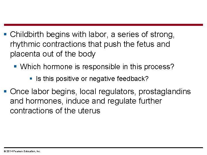 § Childbirth begins with labor, a series of strong, rhythmic contractions that push the