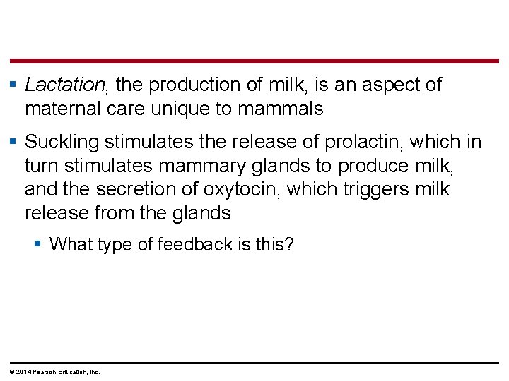 § Lactation, the production of milk, is an aspect of maternal care unique to