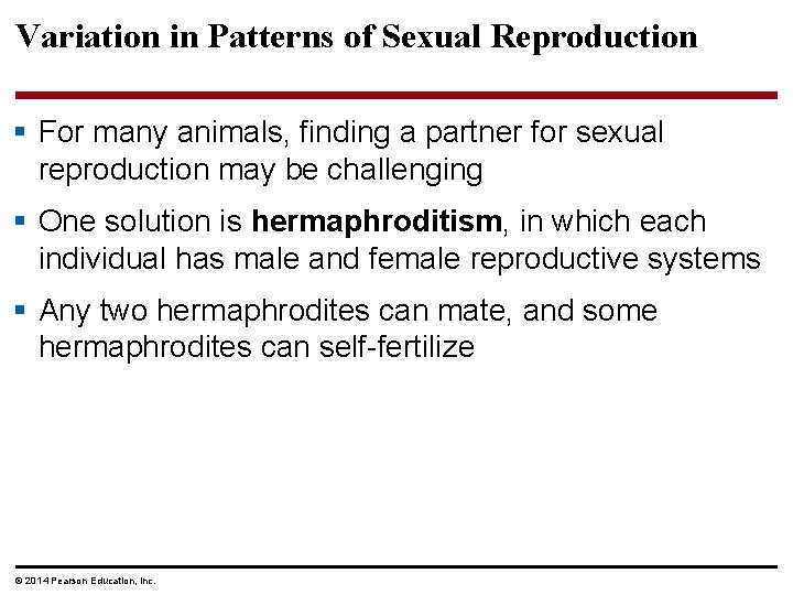 Variation in Patterns of Sexual Reproduction § For many animals, finding a partner for